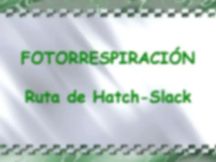 pf12