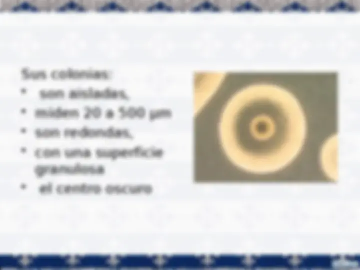 pf13