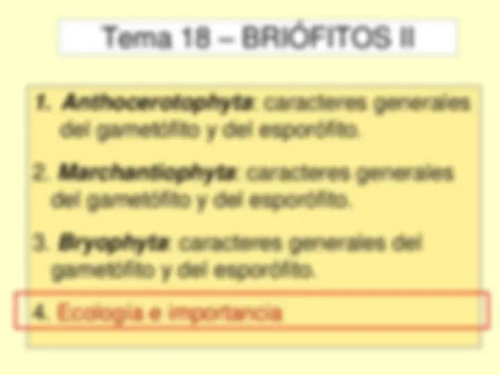 pf1b
