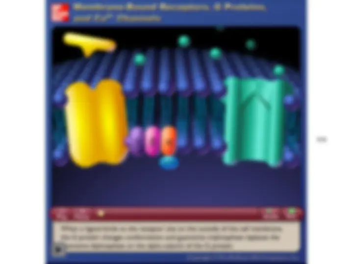 pfe