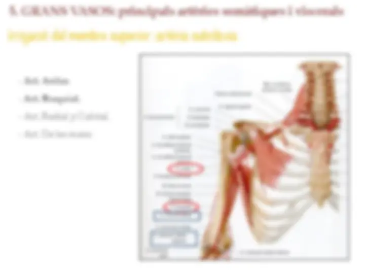 pf27