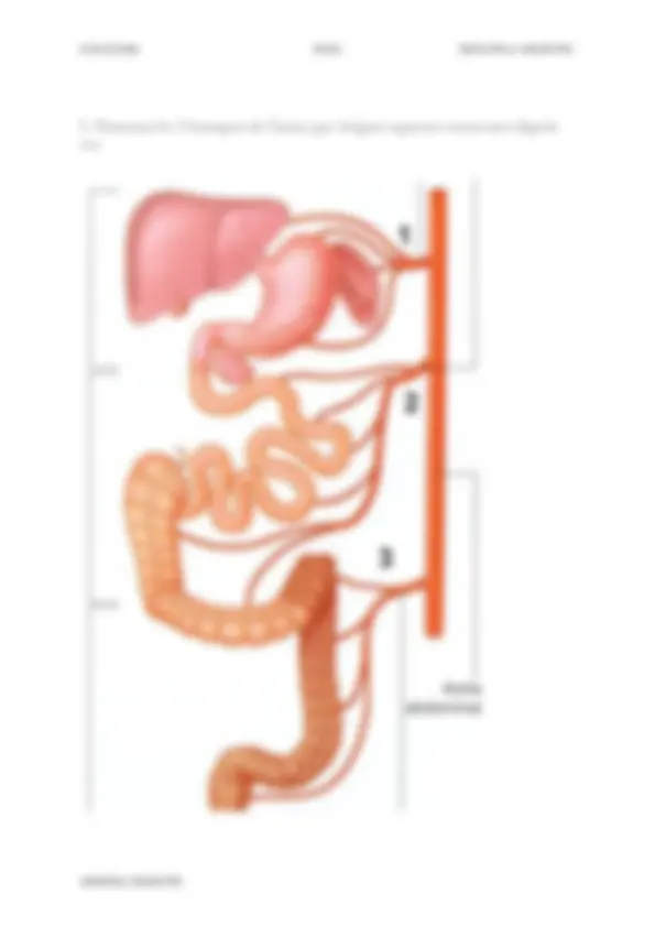 pf5
