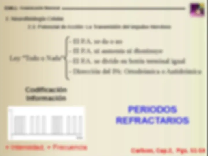 pf14