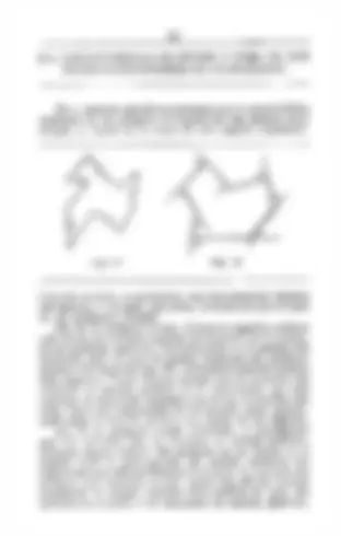pf24