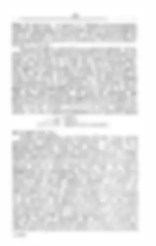 pf33