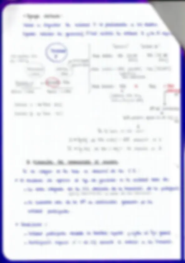 pf24