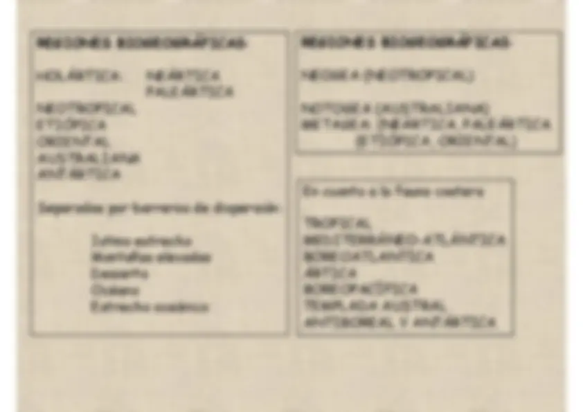 pf24