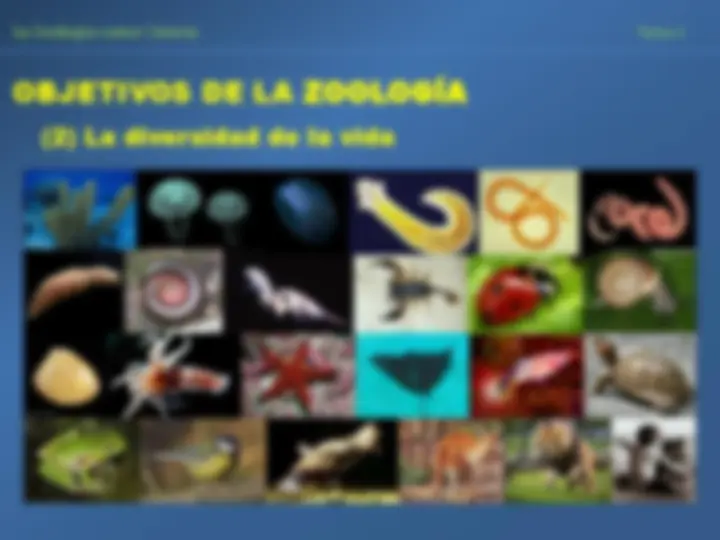 pfa