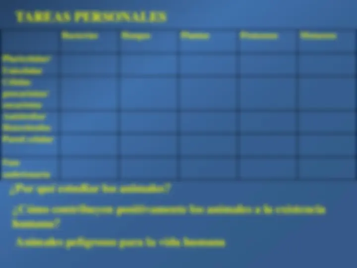 pf13