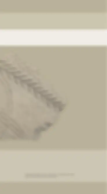 pf29