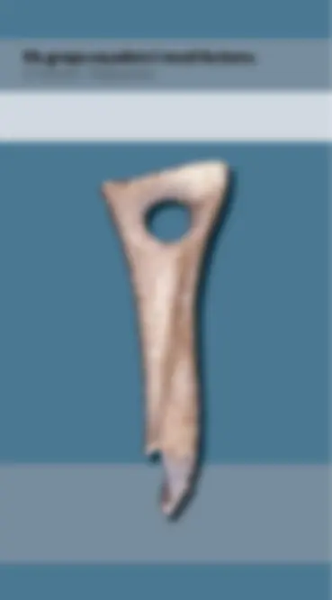 pf18