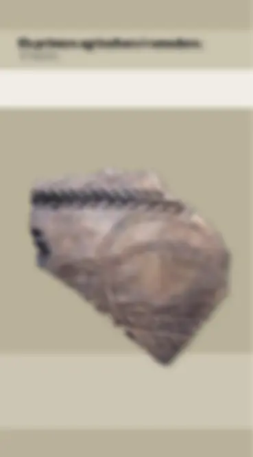 pf2a