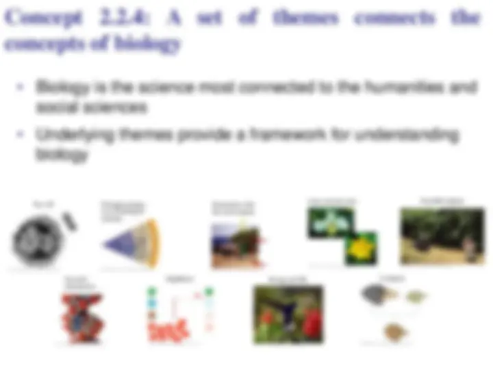 pf16