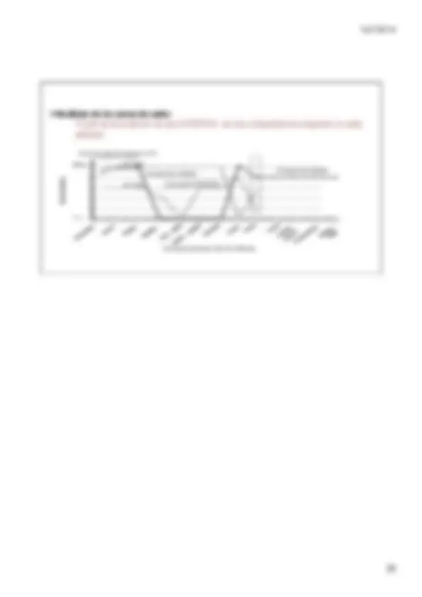 pf19