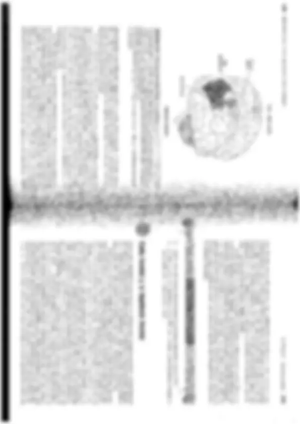 pf4