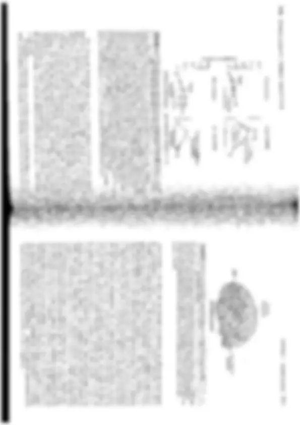 pfa