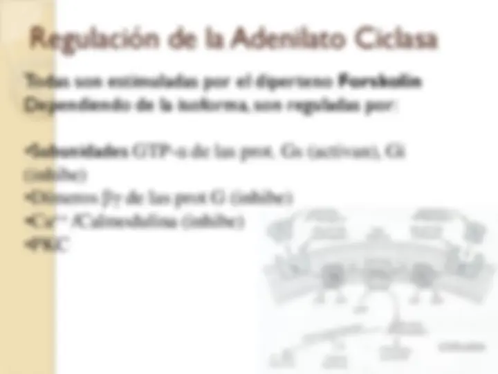 pfe