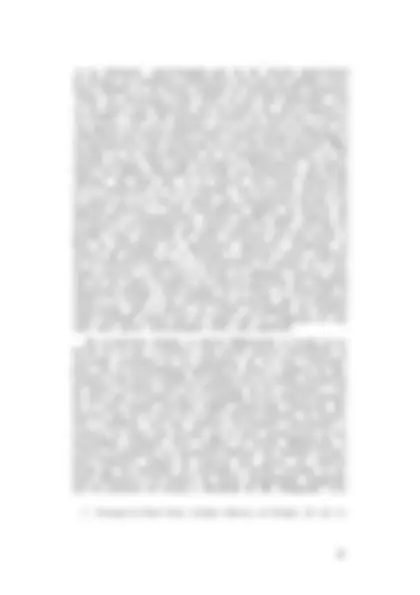 pf16