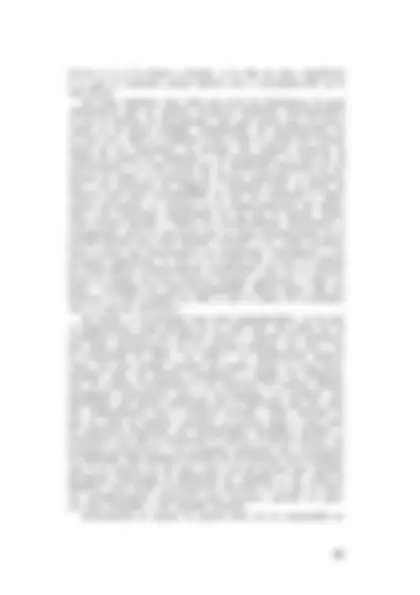pf31