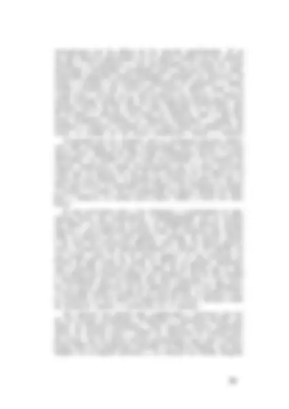 pf41