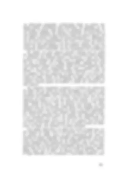 pf53