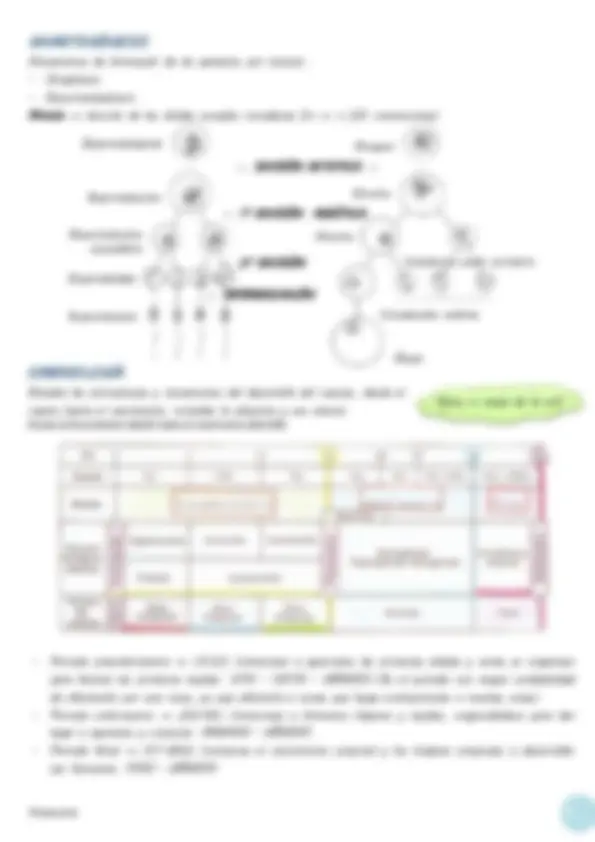pf5