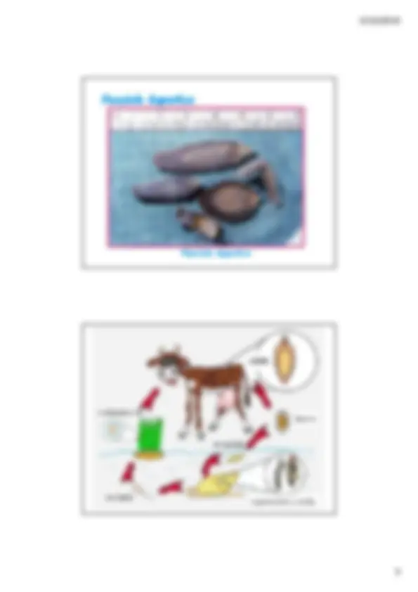 pf5