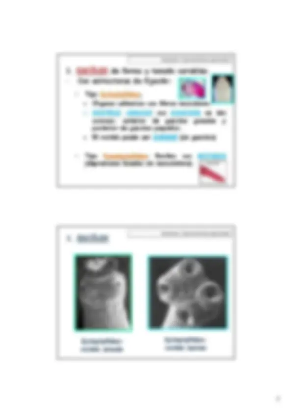 pf3
