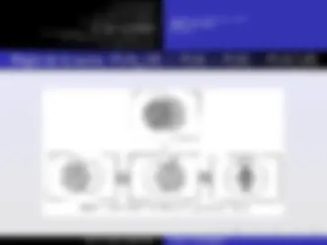 pf13