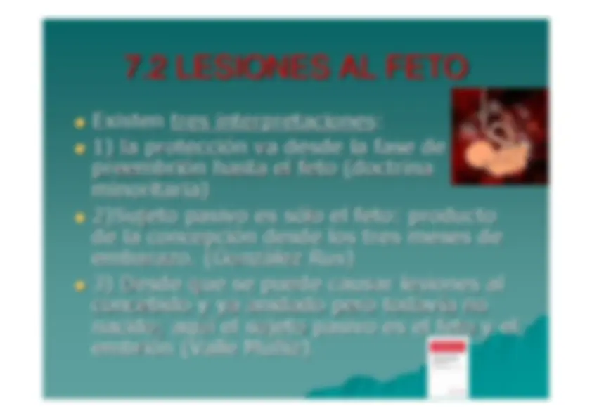 pf24