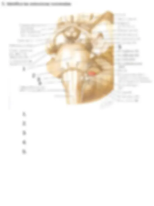 pf5