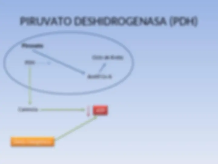pfa