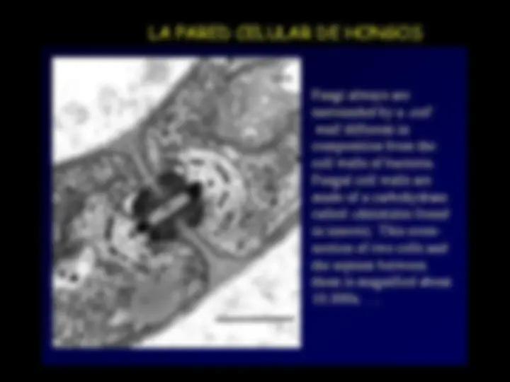 pf38