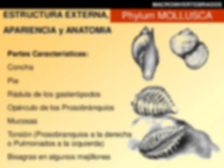 pf14