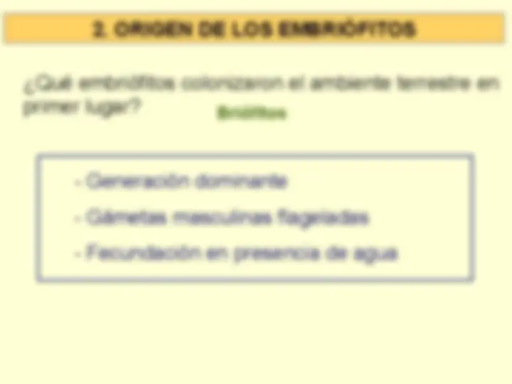 pfe