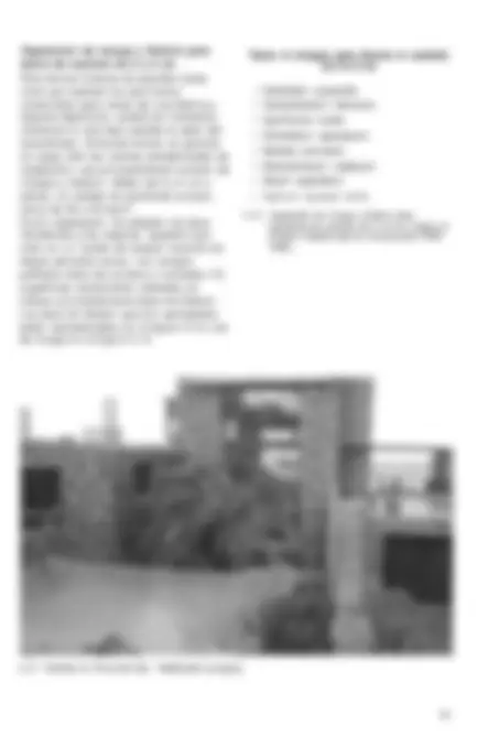 pf33