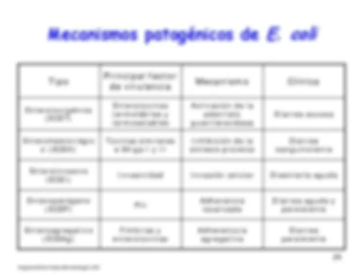 pf18