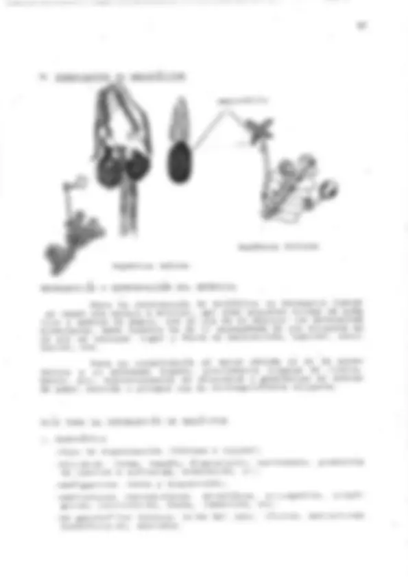 pf27