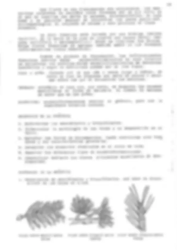 pf32