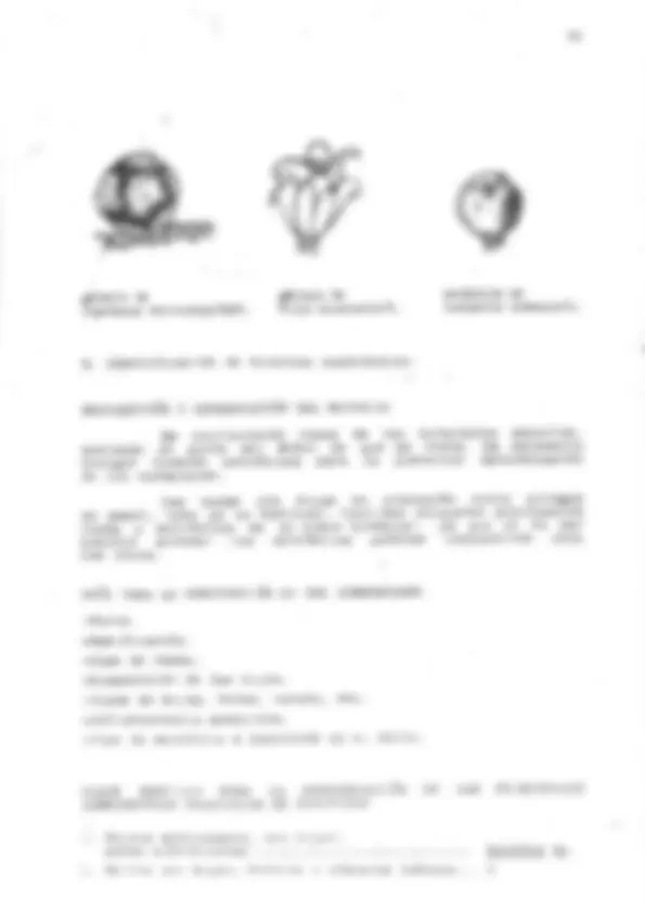 pf35
