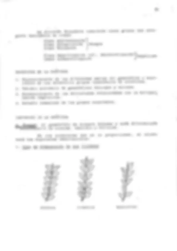pf21