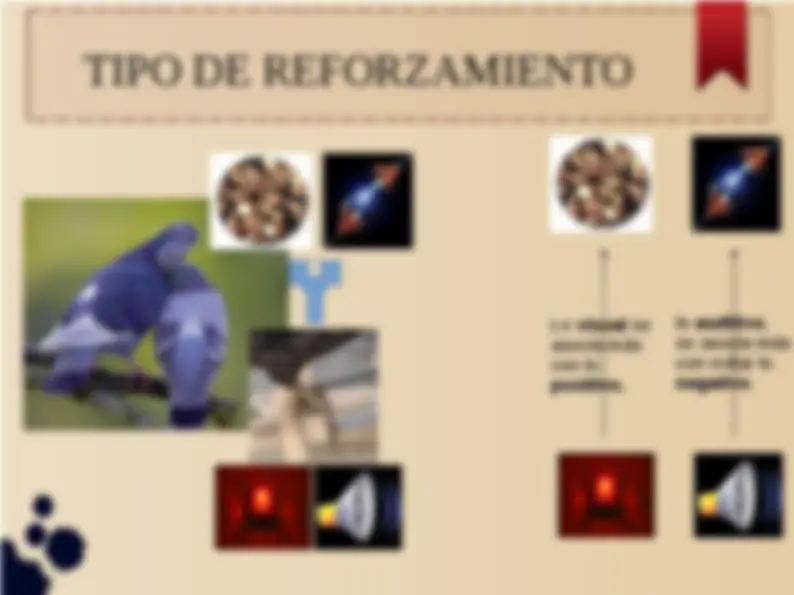 pfe