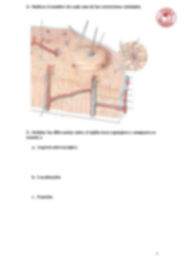 pf4