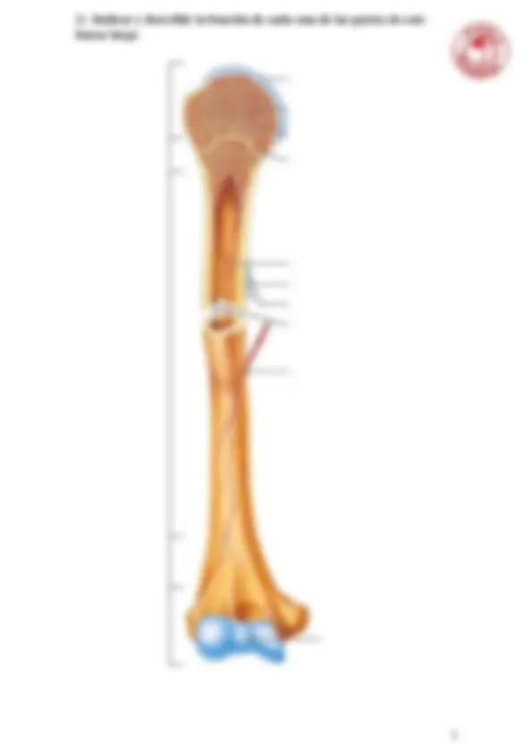 pf3