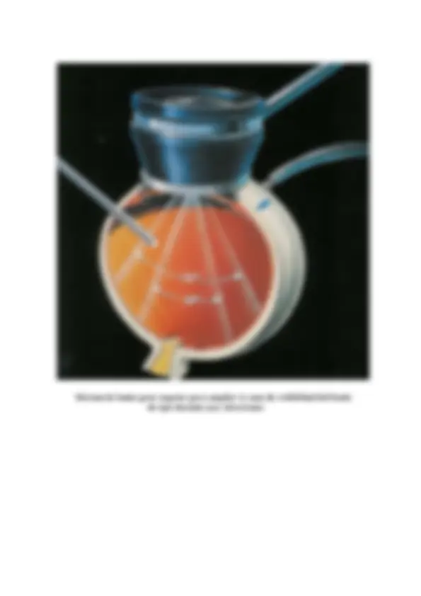 pf8