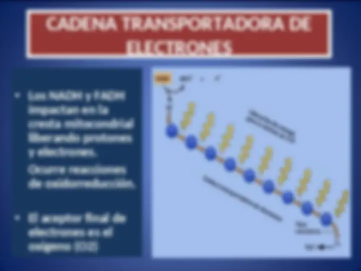 pf2a