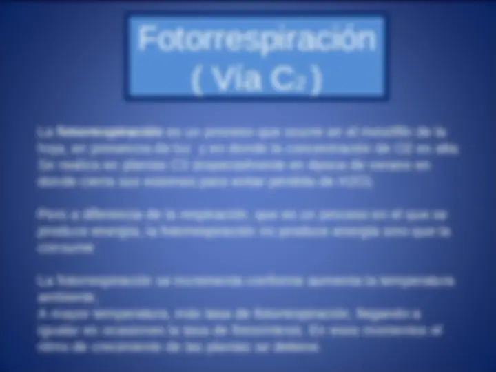 pf14
