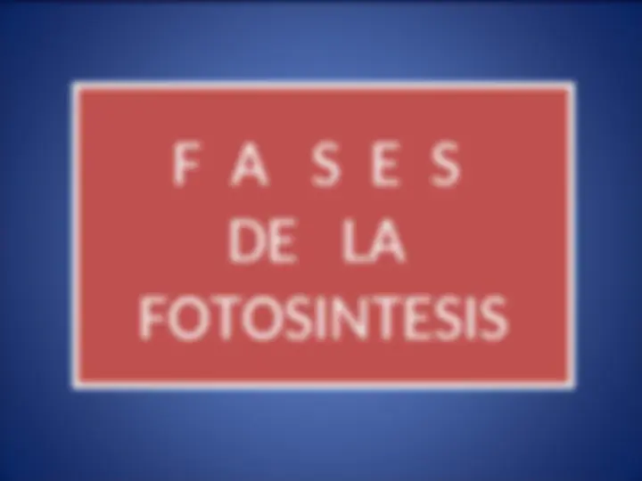 pfd