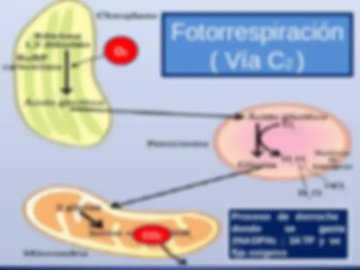 pf15