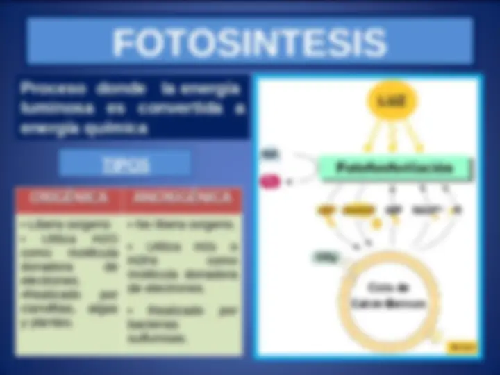 pf3